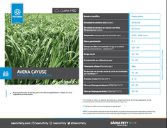 AVENA CAYUSE BULTO X 50 LIBRAS