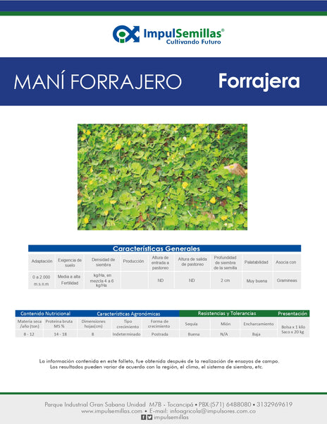 MANÍ FORRAJERO (ARACHIS PINTOI) X 1  KG.