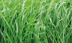 Titan Blend Dry x 22.7 kg.